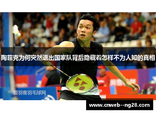 陶菲克为何突然退出国家队背后隐藏着怎样不为人知的真相