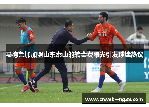 马德鲁加加盟山东泰山的转会费曝光引发球迷热议